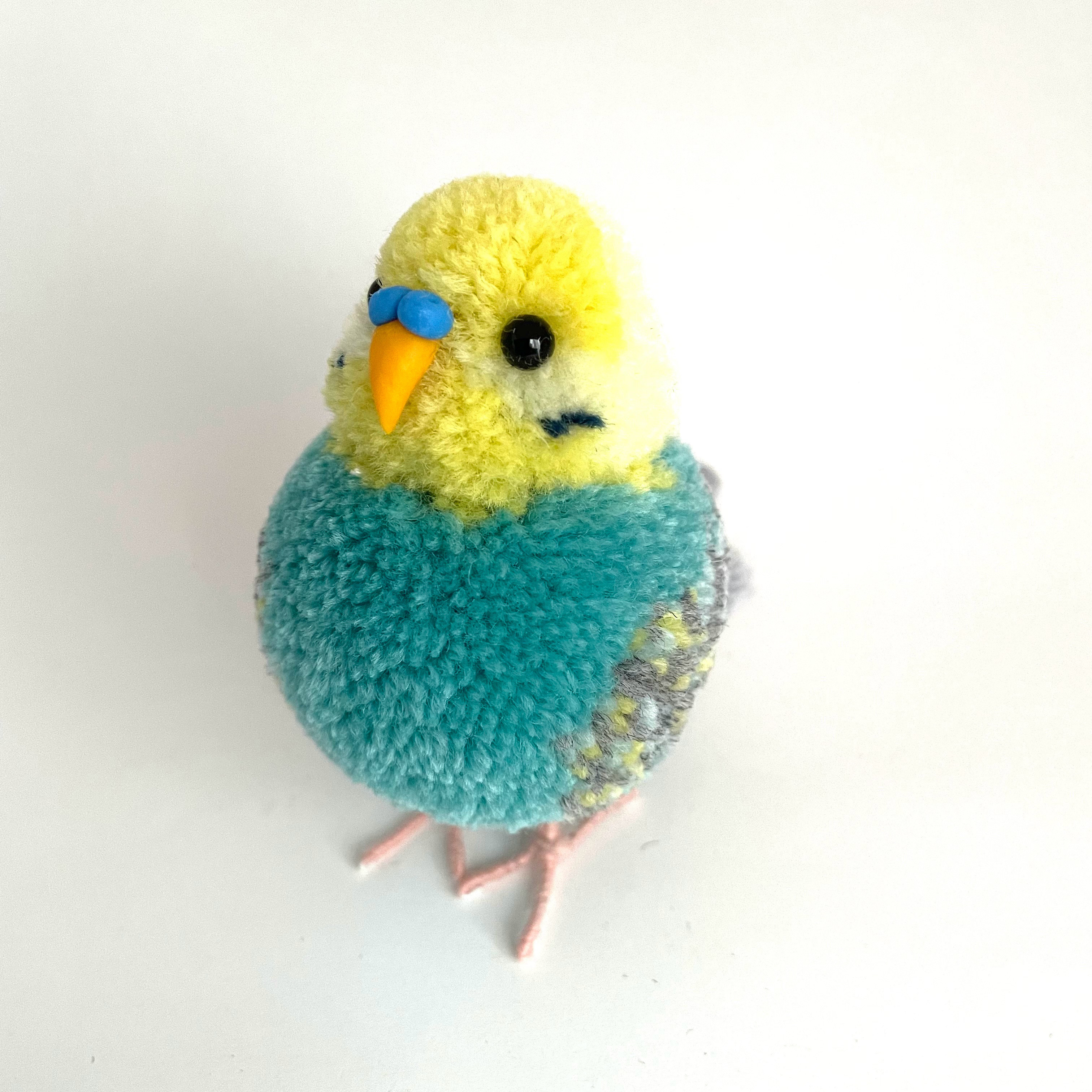 せきせいいんこ