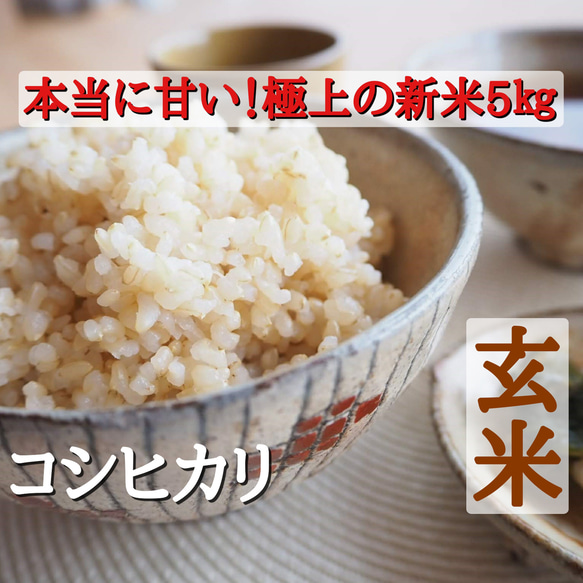 コシヒカリ 令和6年極上の新米5㎏ 玄米(収穫後発送) 米・米粉・餅 
