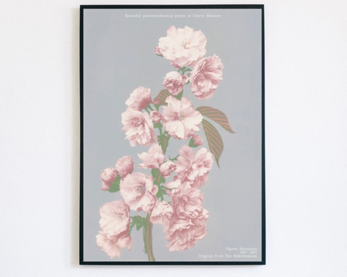 額装品/Le Studio 1/クリスチャン コワニー/ポスター/インテリア 額装