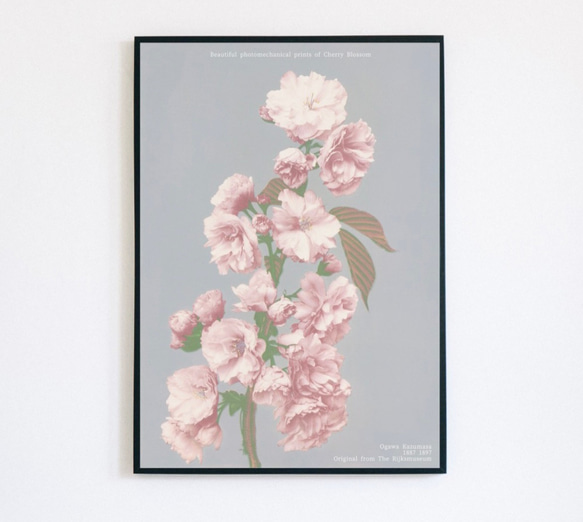 額装品/Le Studio 1/クリスチャン コワニー/ポスター/インテリア 楽天市場】THE POSTER CLUB ポスター BIRD STUMP 30×40cm / 50