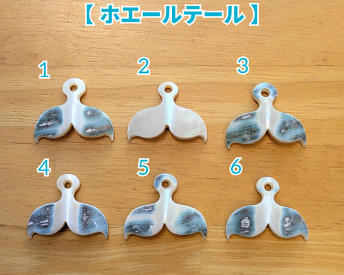 夜光貝磨きアクセサリー作りキット ✳【 ホエールテール 】 キット