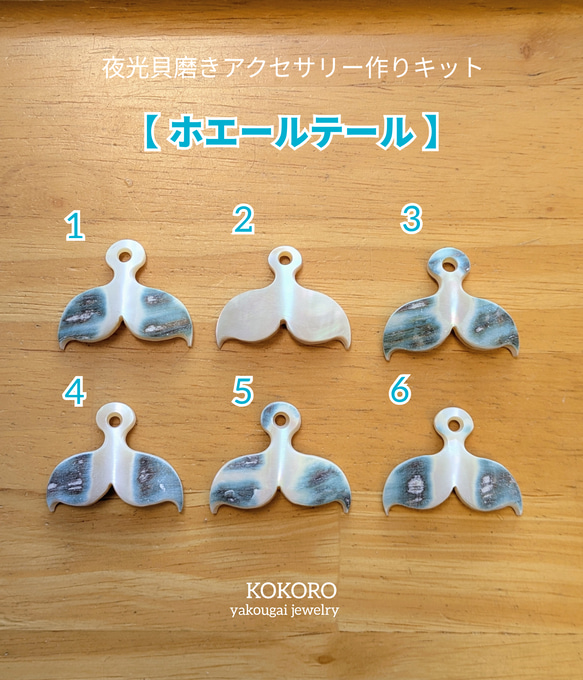夜光貝磨きアクセサリー作りキット ✳【 ホエールテール 】 キット