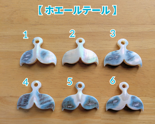 夜光貝磨きアクセサリー作りキット ✳【 ホエールテール 】 キット