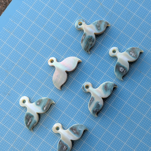 夜光貝磨きアクセサリー作りキット ✳【 ホエールテール 】 キット