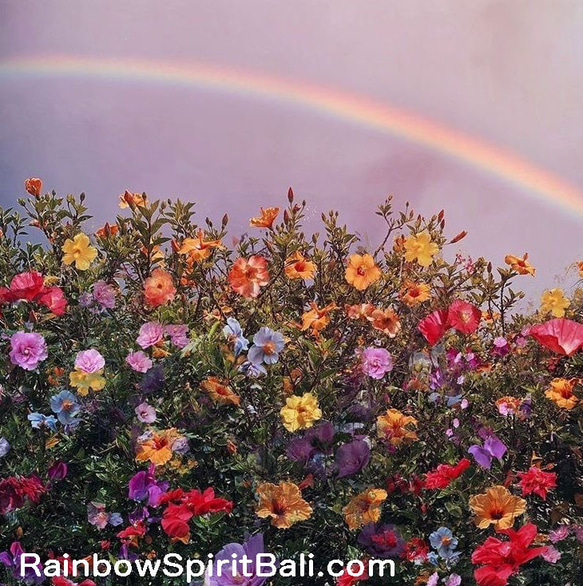 薔薇石英圓球（直徑20mm） 由峇裡島僧侶祈禱淨化的天然石球，是愛、美麗和治癒的治癒石♪ 第19張的照片