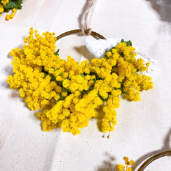 《送料無料》黄色が幸せ呼ぶ　ミモザのハーフリース　母の日プレゼント　　ドライフラワーリース　ドアリース　 4枚目の画像