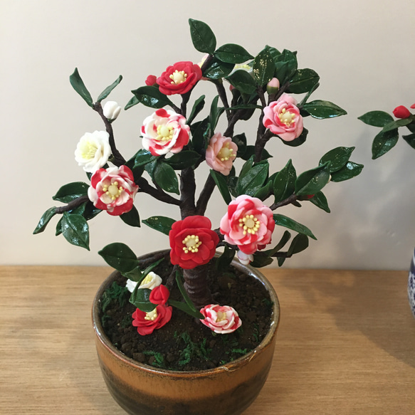 再販しました！》樹脂粘土製 ミニ盆栽〈五色椿〉 盆栽 AB-Hachi Garden