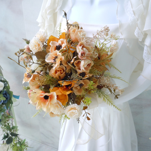 31 #多肉植物アエオニウム錦❤️金絲雀锦❤️1大頭15cmカット苗