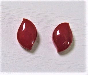 土佐の宝石珊瑚　ピアス　さんご　レデイ－ス 　アクセサリ－ ・ ジュエリ－　両耳ピアス　　　　　　　No－00729