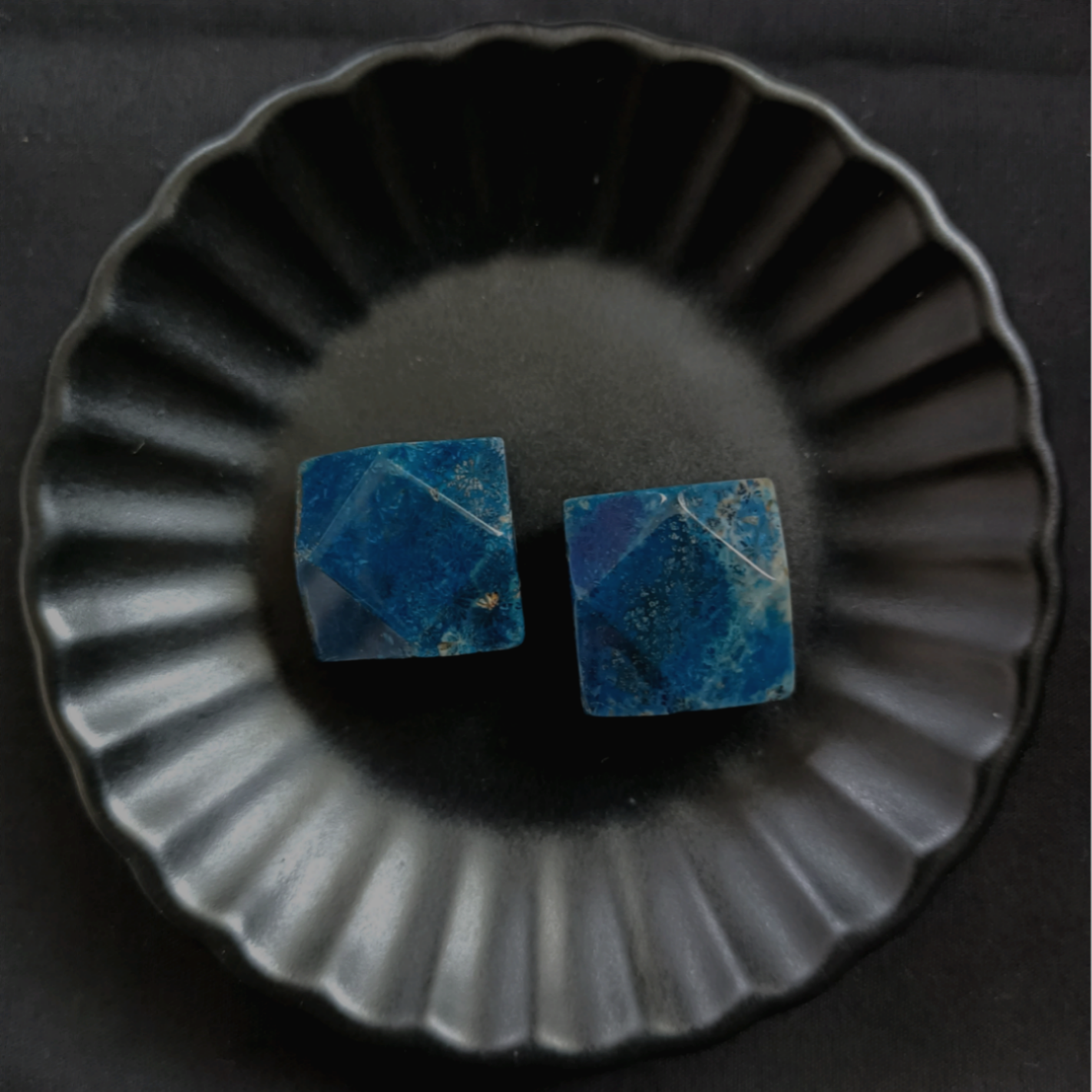 ꕥオーダー受付中ꕥ グレーフォッシルコーラル ꕥオーダー受付中ꕥ グレーフォッシルコーラル