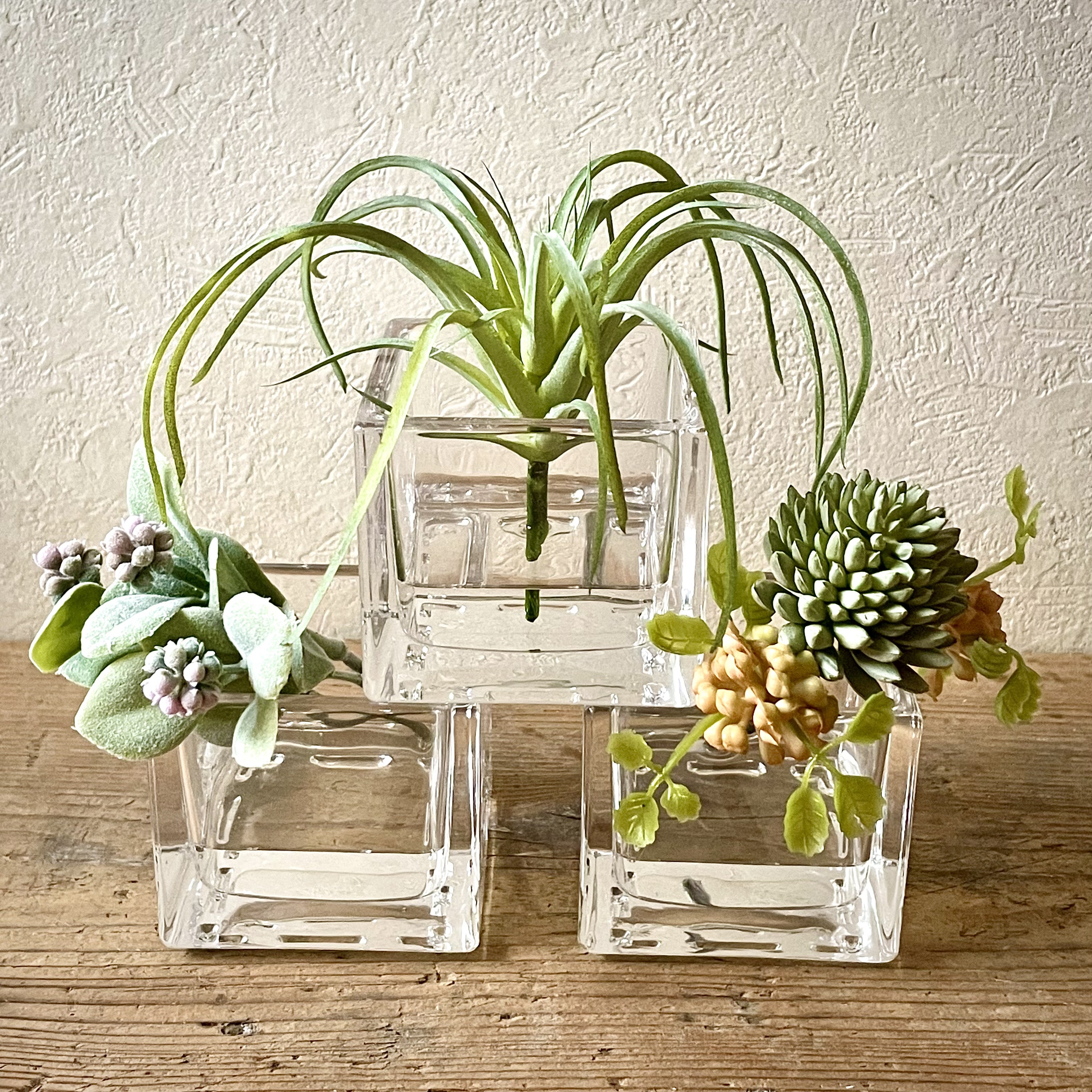 『Creema限定福袋2026』ラッピング無料！3点セットA エアプランツ ベリー セダム マジカルウォーター ギフト