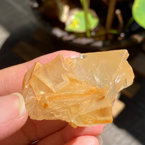 ハニーカルサイト ハニー カルサイト ポイント