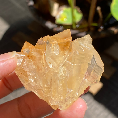 ハニーカラー☆カルサイト 原石 03 天然石 その他インテリア雑貨