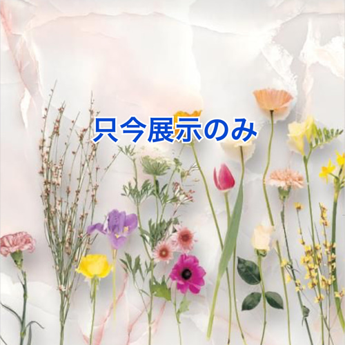 JUNKJOURNAL✤ファイル＆Journalセット♡ JUNKJOURNAL✤ファイル＆Journalセット♡ 雑貨・ステーショナリー