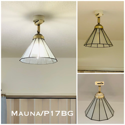 天井照明 シーリングライト Roana/CAB ガラス ランプシェード