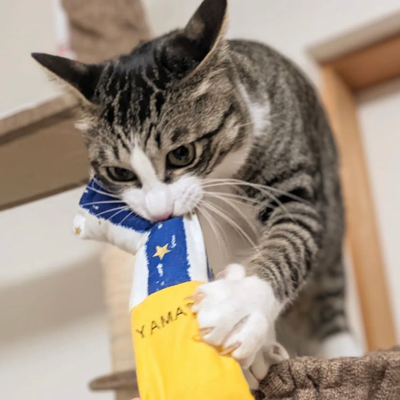 【名前刺繍】またたびキッカー＊寿司ねこ　うちの子けりぐるみ 8枚目の画像