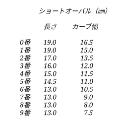 ミモザハンドメイド2023    ネイルチップ 023. 3枚目の画像