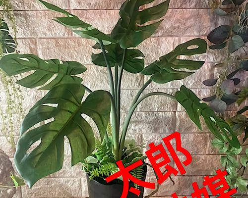 光触媒　人工観葉植物　ウォールグリーン　フェイク　アレンジ　モンステラヘゴ126