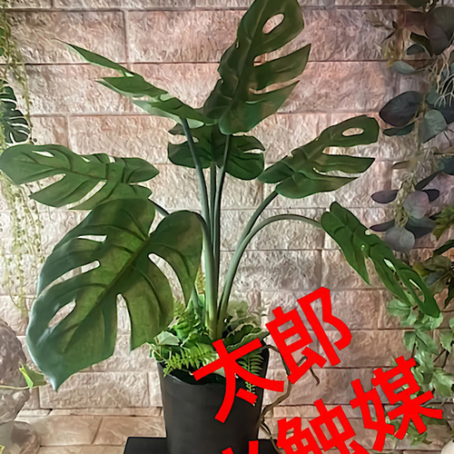 光触媒 人工観葉植物 ウォールグリーン 造花 インテリア oモンステラ