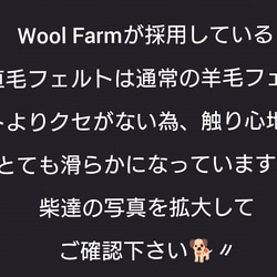 仲良しパピー4匹組(秋田犬)　～Wool Farm～　羊毛フェルト 7枚目の画像