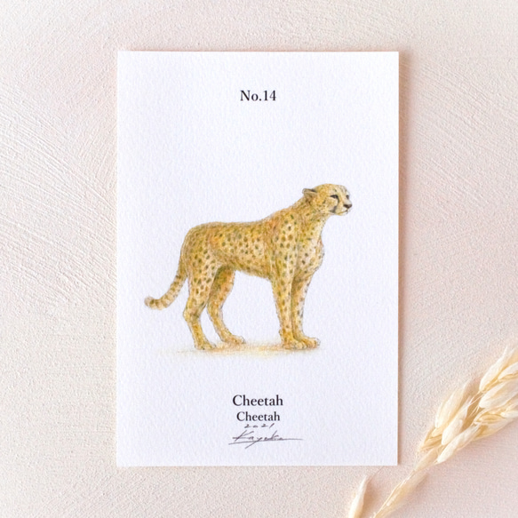 2025年秋冬新作 手描き】 加容子 小島 絵画 Cheetah Cheetah No.14 鉛筆画 彩色 絵画