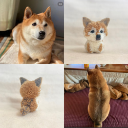 うちの子ポンポンチャーム（おすわり中）柴犬 ポメ シーズー ヨーキー ダックス シュナウザー チワワ レトリバー 4枚目の画像