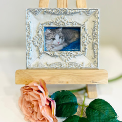 サバ白の猫ちゃん」猫の絵 ミニ額 半原画(プリントに手描き着彩) 絵画