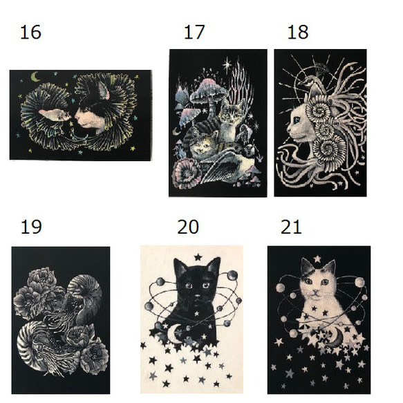 オリジナルポストカード３枚セット 「キノコシリーズ」★キノコ 猫 星月猫 アート 9枚目の画像