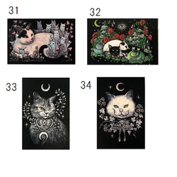 オリジナルポストカード３枚セット 「キノコシリーズ」★キノコ 猫 星月猫 アート 11枚目の画像