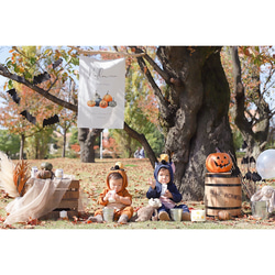 Halloween tapestry / pumpkin | タペストリー | ハロウィン | かぼちゃ 10枚目の画像