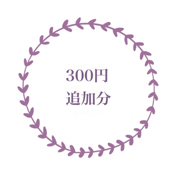 追加分  300円 1枚目の画像