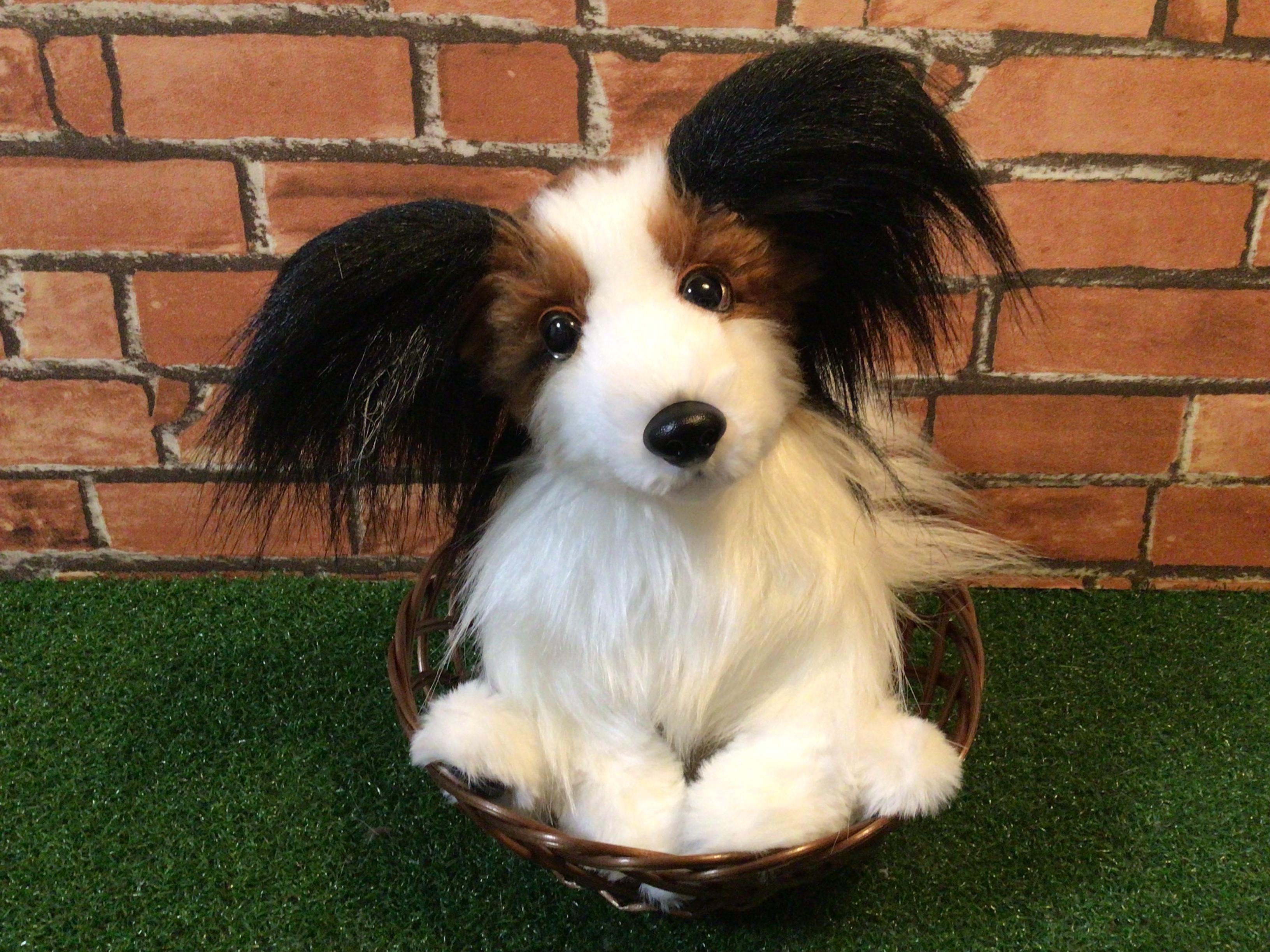 ペットと暮らす2021 〈受注製作〉愛犬ちゃん(パピヨン