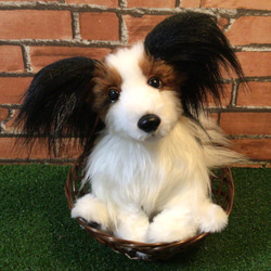 □すぬさま専用愛犬パピヨンちゃんミニチュアオーダー確認用ページ□ハンドメイド雑貨 □すぬさま専用愛犬パピヨンちゃんミニチュアオーダー確認用