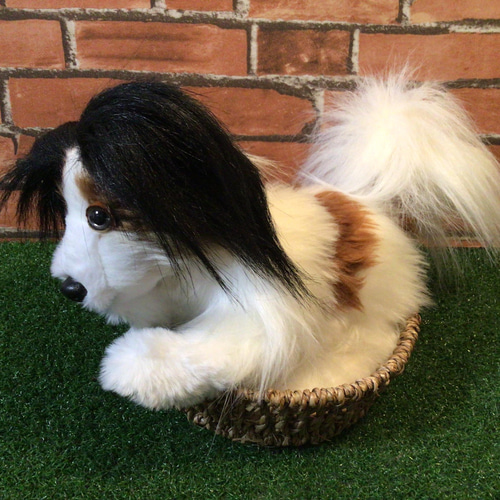 四季オリジナル　パピヨン犬ぬいぐるみ 120220kashi パピヨン ぬいぐるみ 犬 猫 リアル ペット - 【公式