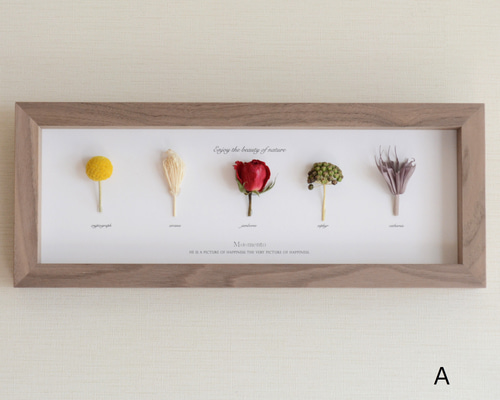 横型【ボタニカル フレーム】ホワイト A ハーバリウム・植物標本 いち