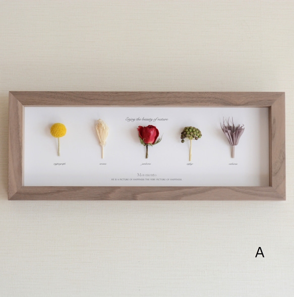 横型【ボタニカル フレーム】ホワイト A ハーバリウム・植物標本 いち