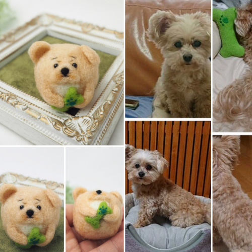受注製作】-うちのこ- まゆわんこ(犬)オーダーページ 羊毛