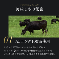 【父の日・プチギフト贈答用】A5ランク100％ビーフハンバーグ5個入り 2枚目の画像