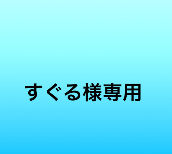 秋田犬カラーリード・引綱/運動紐　紺 1枚目の画像