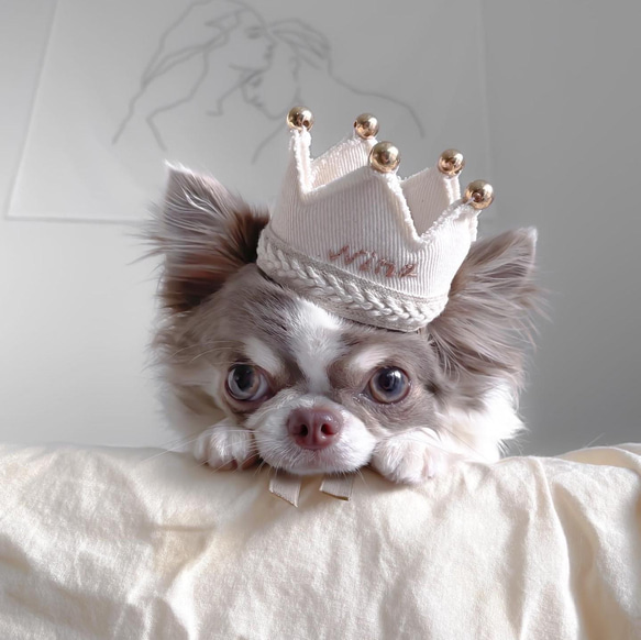 《特集掲載》white denim crown.. ベビークラウン　王冠　バースデークラウン/誕生日や、記念日に♪ 1枚目の画像