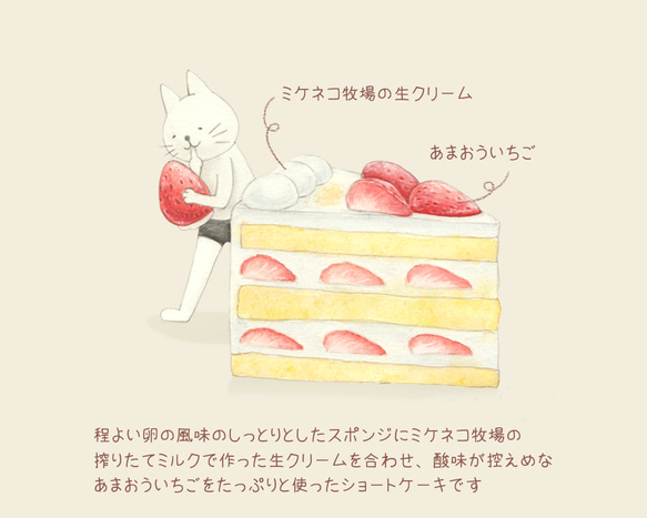 選べるショートケーキとネコぱんのTシャツ【受注制作】 4枚目の画像