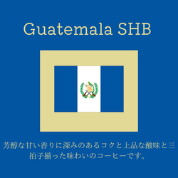 送料無料で届く新鮮な自家焙煎コーヒー豆｜ガテマラSHB｜300g（150g×2袋）｜深煎り 1枚目の画像