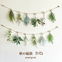 癒しのナチュラルガーランド 2点セット ガーランド penpengusa 通販  