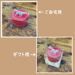 【受注製作】　ミニチュアシュナウザー　のオヤツ缶✿ 4枚目の画像