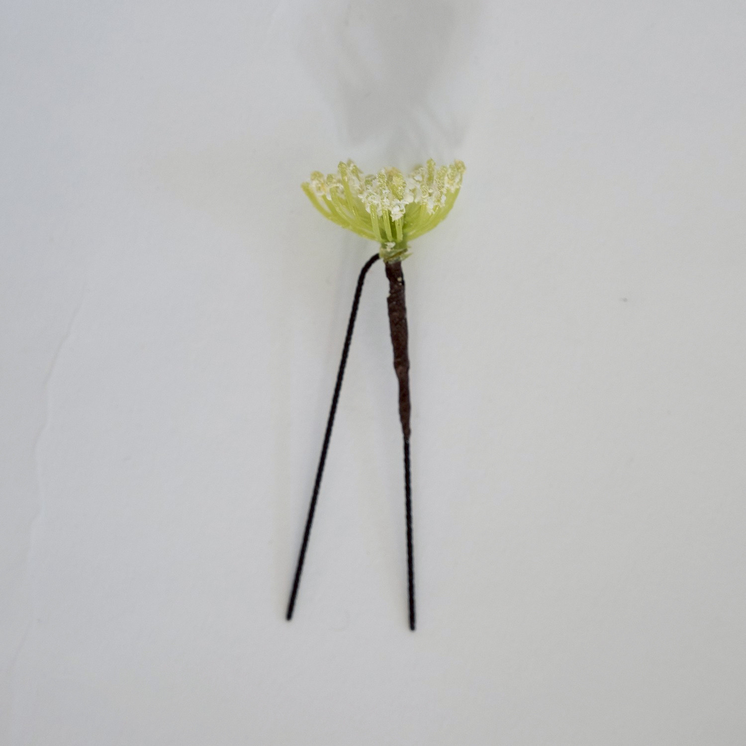 【ショートボブやボブの花嫁様に】パンパスグラスのボンネ風ヘッドドレスN　ドライフラワー風ウェディングヘッドパーツ・髪飾り