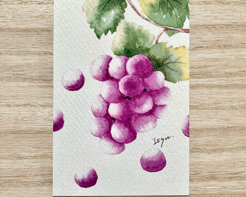 3枚セット「瑞々しい葡萄」水彩画イラストポストカード 秋