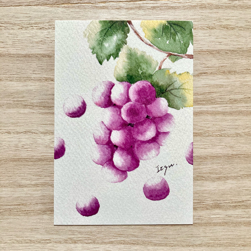 3枚セット「瑞々しい葡萄」水彩画イラストポストカード 秋 フルーツ