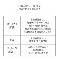 S6   前撮り 結婚式   ウェディング  繰り返し貼れる   ブライダル ボディジュエリーシール  貼るアクセサリー 9枚目の画像