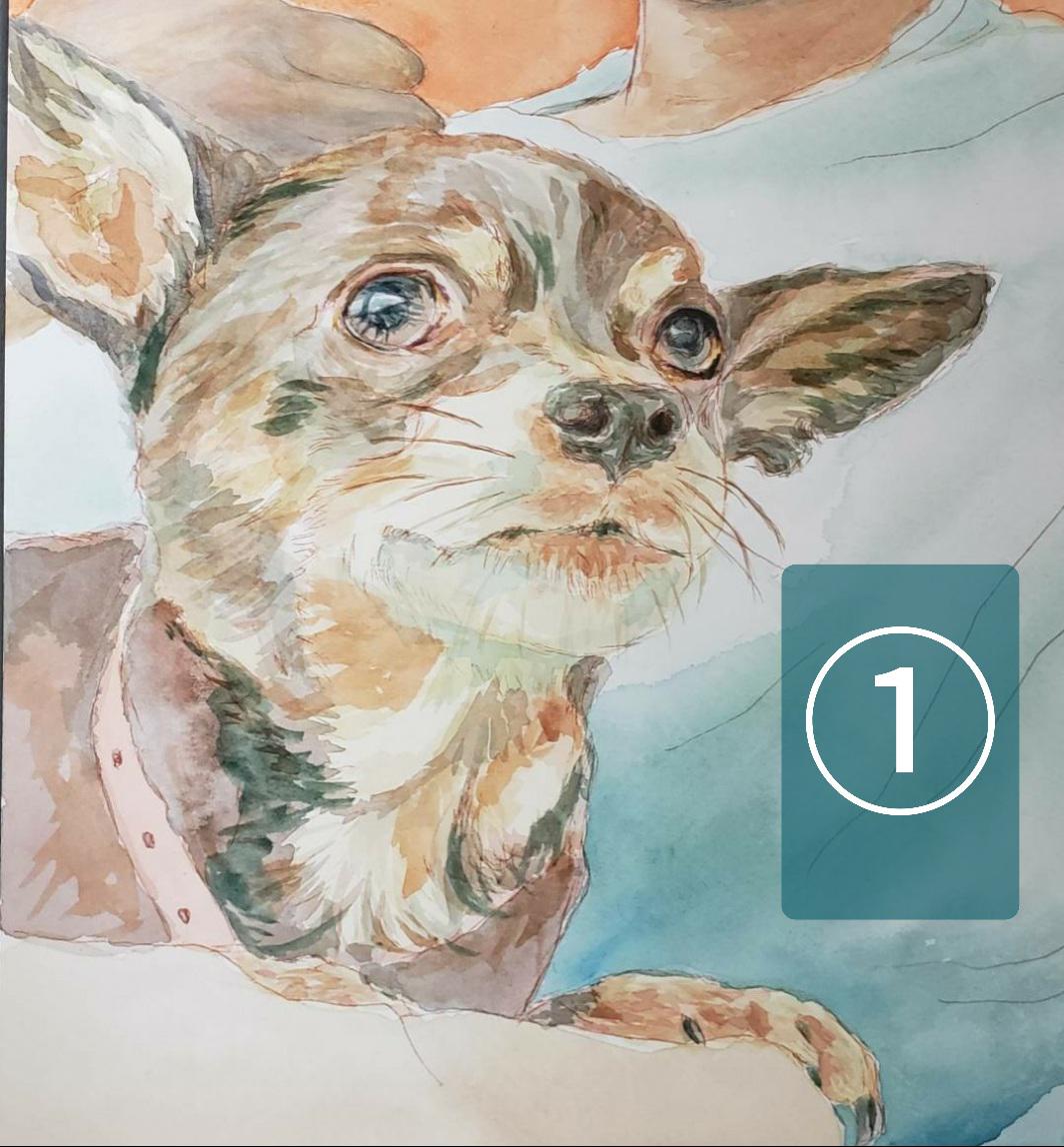 大切なペットさんの似顔絵　スペシャルオーダーA4サイズ(送料込)額なし 8,250円