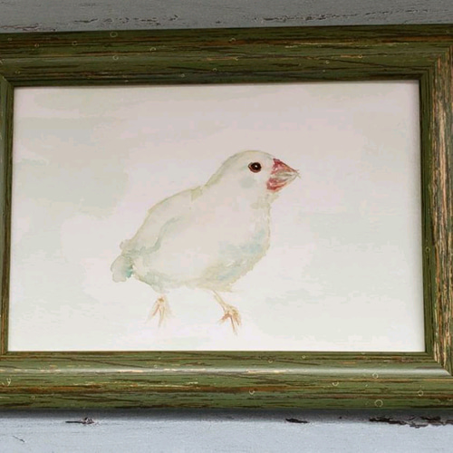 大切なペットさんの似顔絵 水彩画B5サイズ(送料込)額なし 絵画 大切なペットさんの似顔絵 水彩画B5サイズ(送料込)額なし 絵画